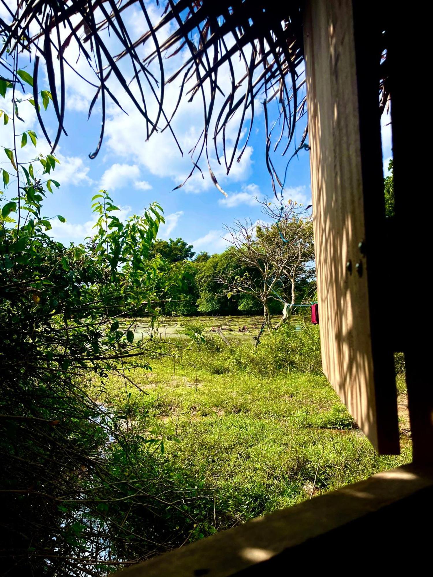 Yala Eco Bush Camp Hotel Exterior photo