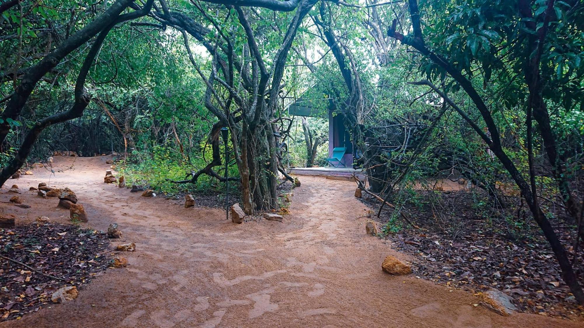 Yala Eco Bush Camp Hotel Exterior photo
