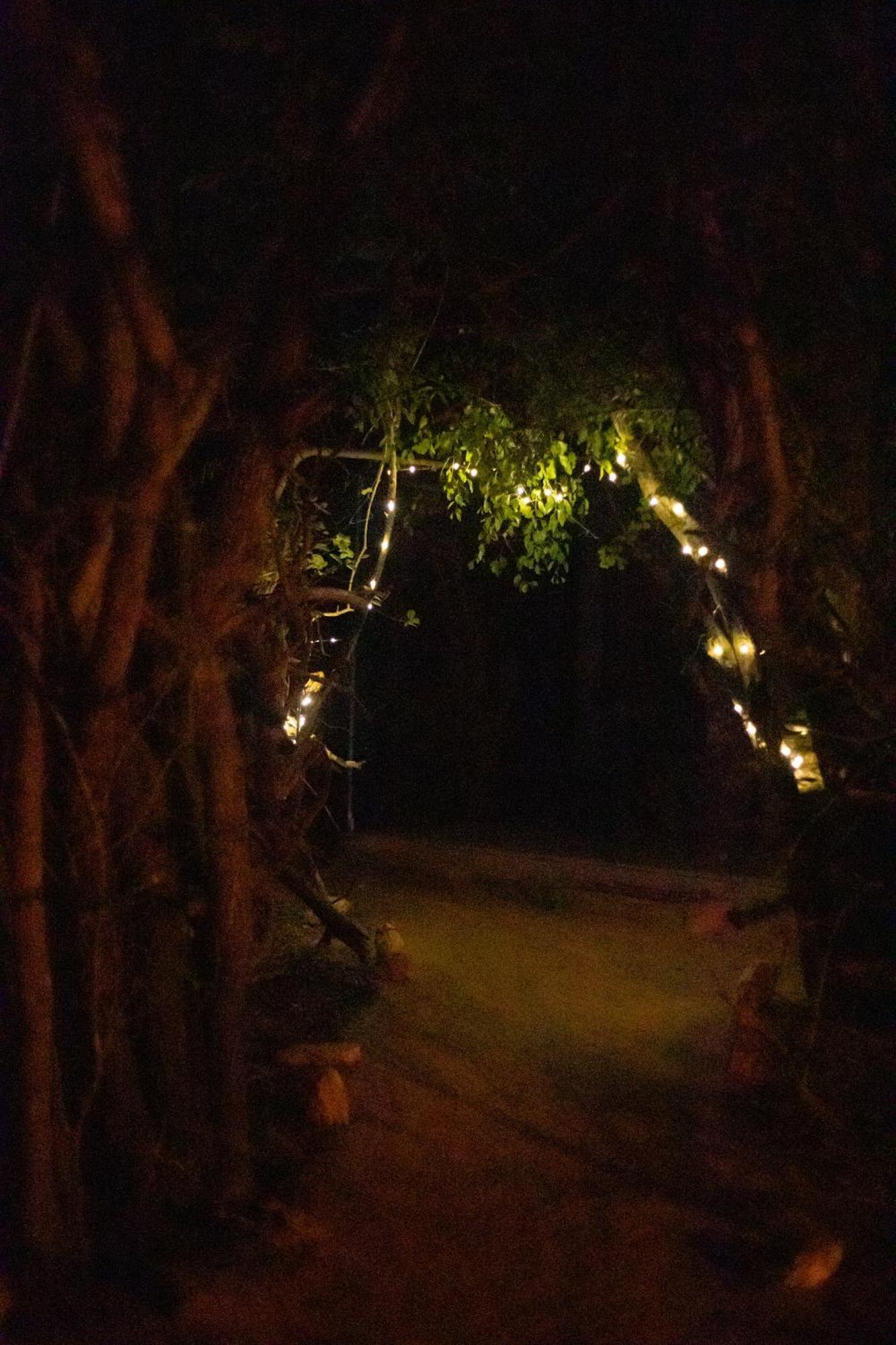 Yala Eco Bush Camp Hotel Exterior photo